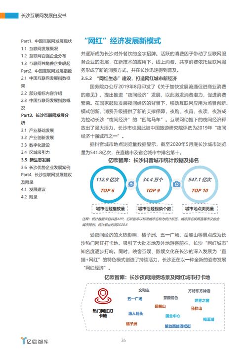 湘江潮涌 2020年長(zhǎng)沙互聯(lián)網(wǎng)發(fā)展白皮書(shū)中的軟件與開(kāi)發(fā)力量